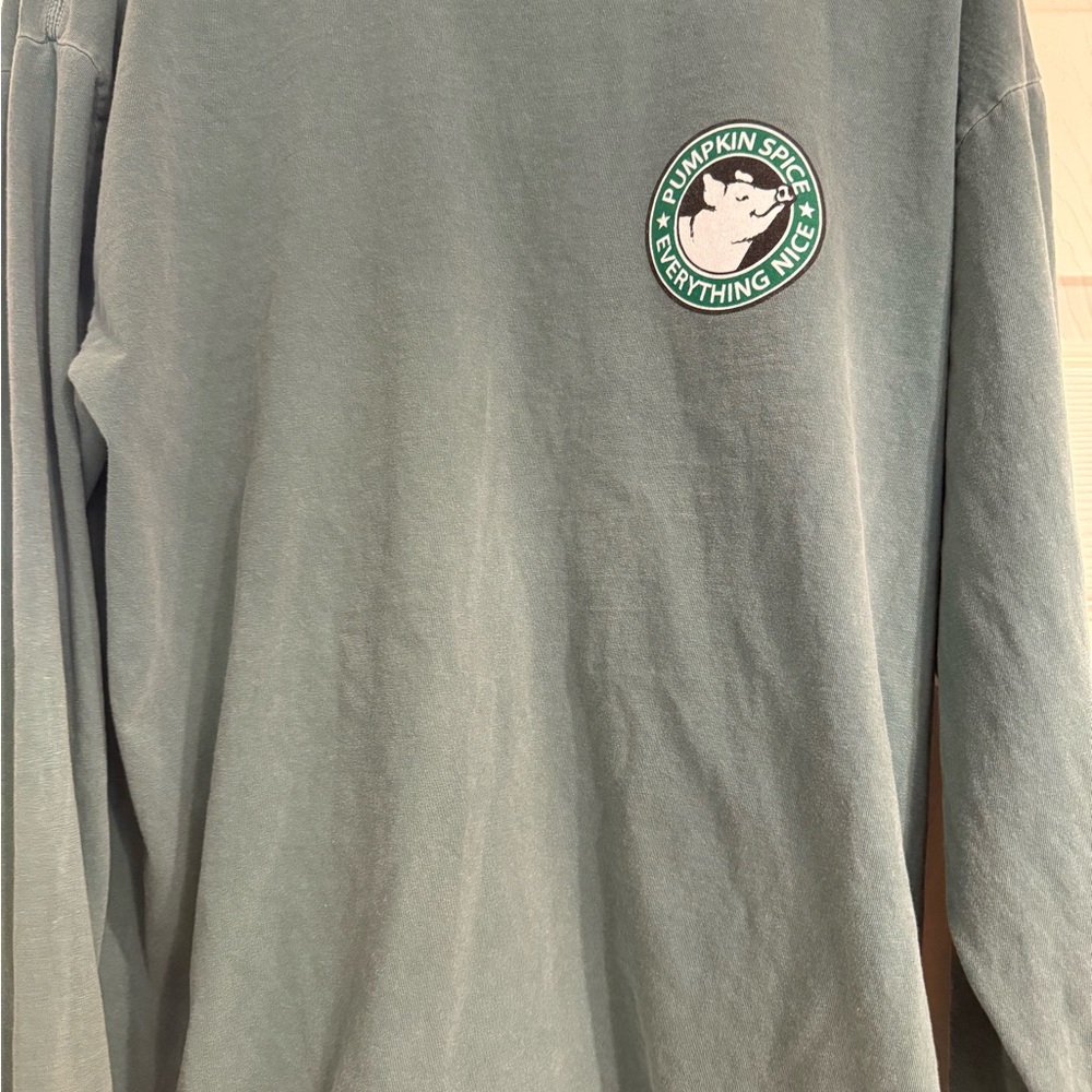 Comfort Colors Green Long Sleeve Top